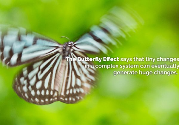 The Butterfly Effect: Guidance for Families