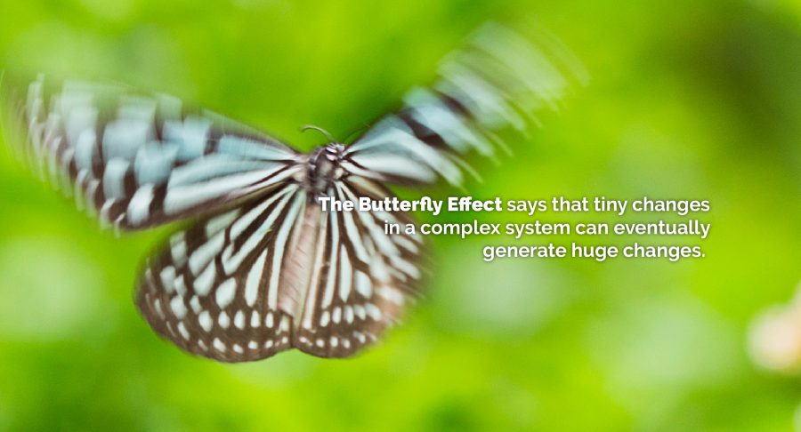 Butterfly effect