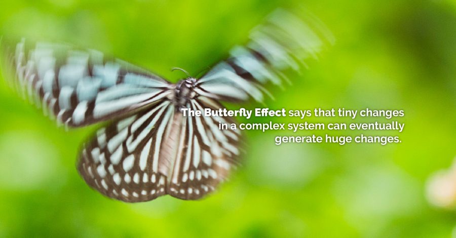 The Butterfly Effect: Guidance for Families