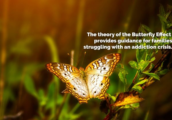 The Butterfly Effect: Guidance for Families – Thursday Thought