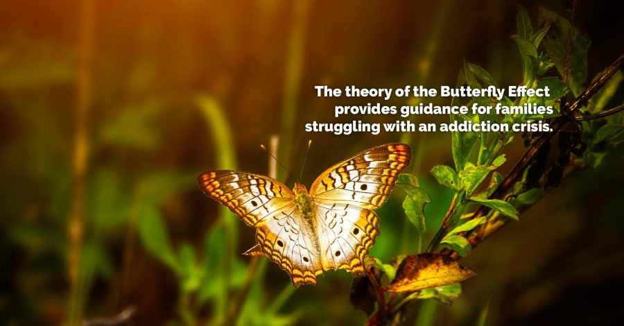 The Butterfly Effect: Guidance for Families – Thursday Thought