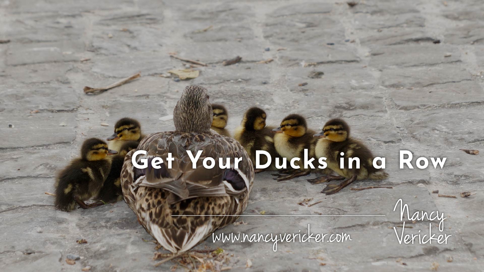 Get Your Ducks in a Row Nancy Vericker
