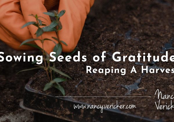 Sowing Seeds of Gratitude: Reaping A Harvest