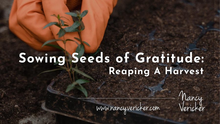 Sowing Seeds of Gratitude: Reaping A Harvest