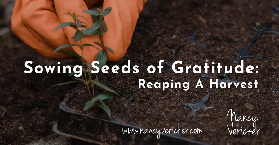 Sowing Seeds of Gratitude: Reaping A Harvest